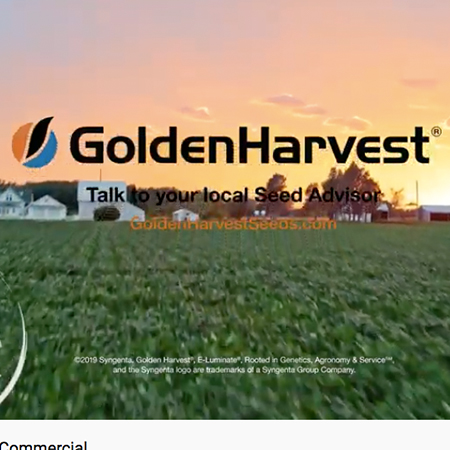 Golden Harvest